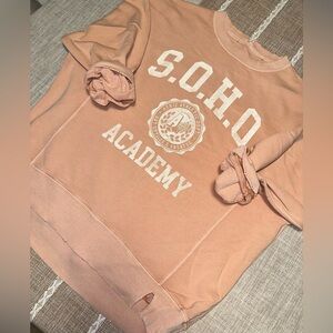 Aerie Sweatshirt